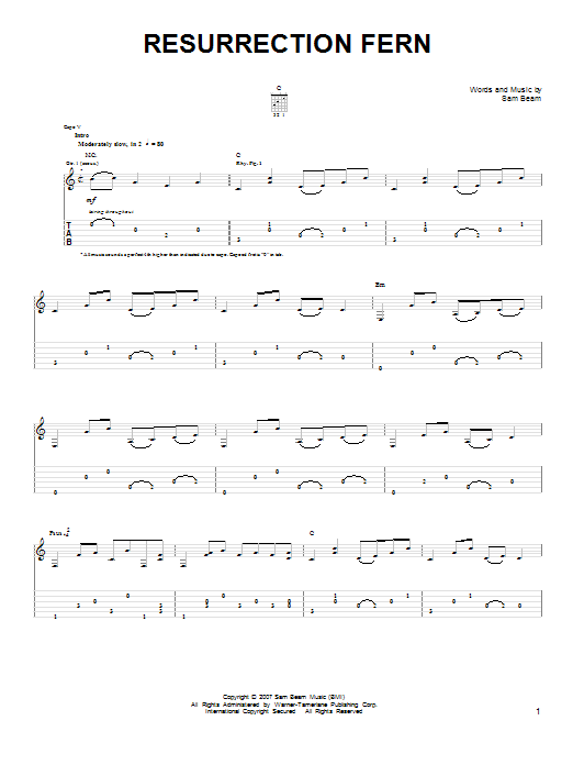 Download Iron & Wine Resurrection Fern Sheet Music and learn how to play Easy Guitar PDF digital score in minutes