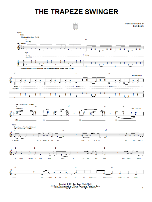 Download Iron & Wine The Trapeze Swinger Sheet Music and learn how to play Easy Guitar PDF digital score in minutes
