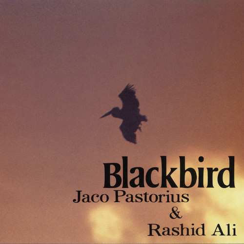 Jaco Pastorius & Rashid Ali album picture