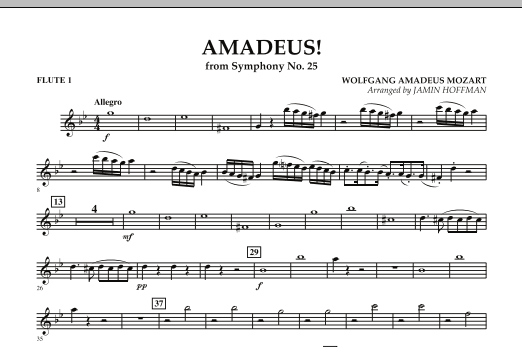 amadeus symphonic orchestra download