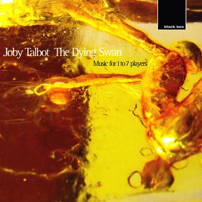 Joby Talbot album picture