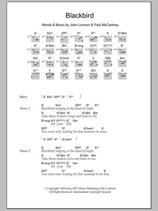 Download Jodie Winter Blackbird Sheet Music and learn how to play Lyrics & Chords PDF digital score in minutes