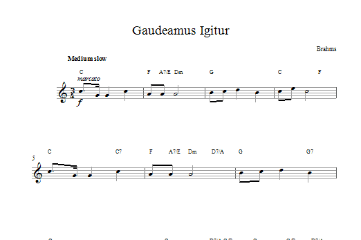 Download Johannes Brahms Gaudeamus Igitur Sheet Music and learn how to play Flute PDF digital score in minutes