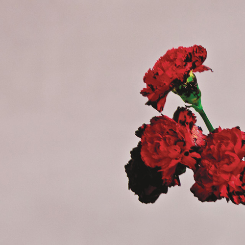 John Legend album picture