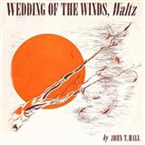 Download or print John T. Hall Wedding Of The Winds Sheet Music Printable PDF -page score for Pop / arranged Easy Piano SKU: 160264.