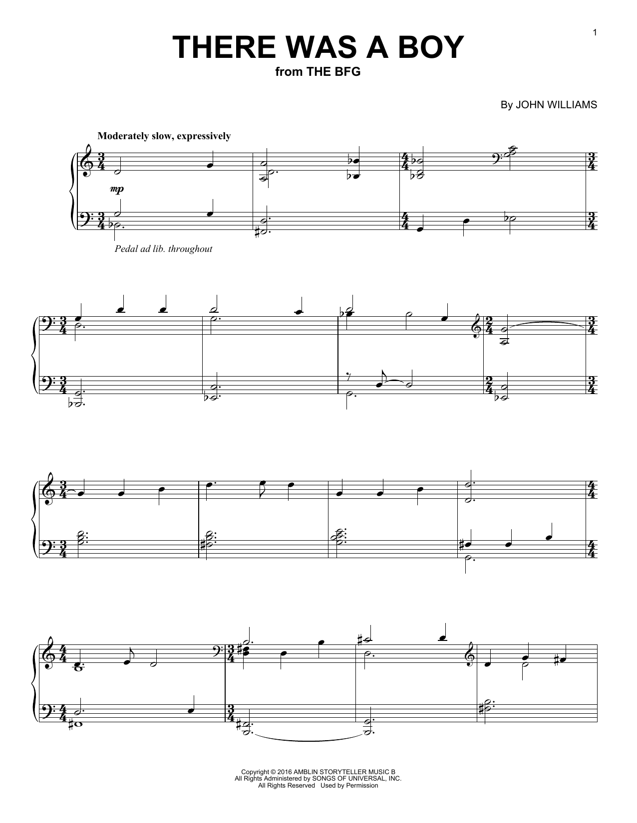 Download John Williams There Was A Boy Sheet Music and learn how to play Piano PDF digital score in minutes