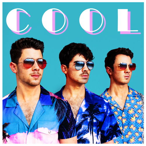 Jonas Brothers album picture