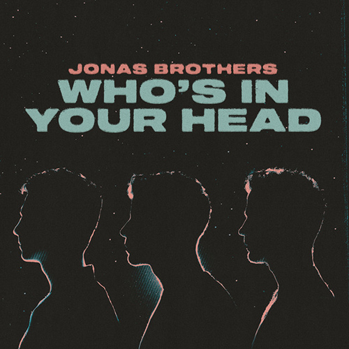 Jonas Brothers album picture