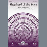 Download or print Joseph M. Martin Shepherd Of The Stars - Bass Clarinet in Bb Sheet Music Printable PDF -page score for Concert / arranged Choir Instrumental Pak SKU: 305895.