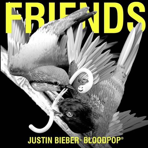 Justin Bieber album picture