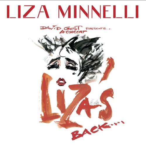 Liza Minnelli album picture