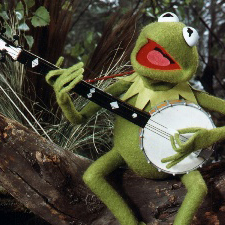 Kermit The Frog album picture