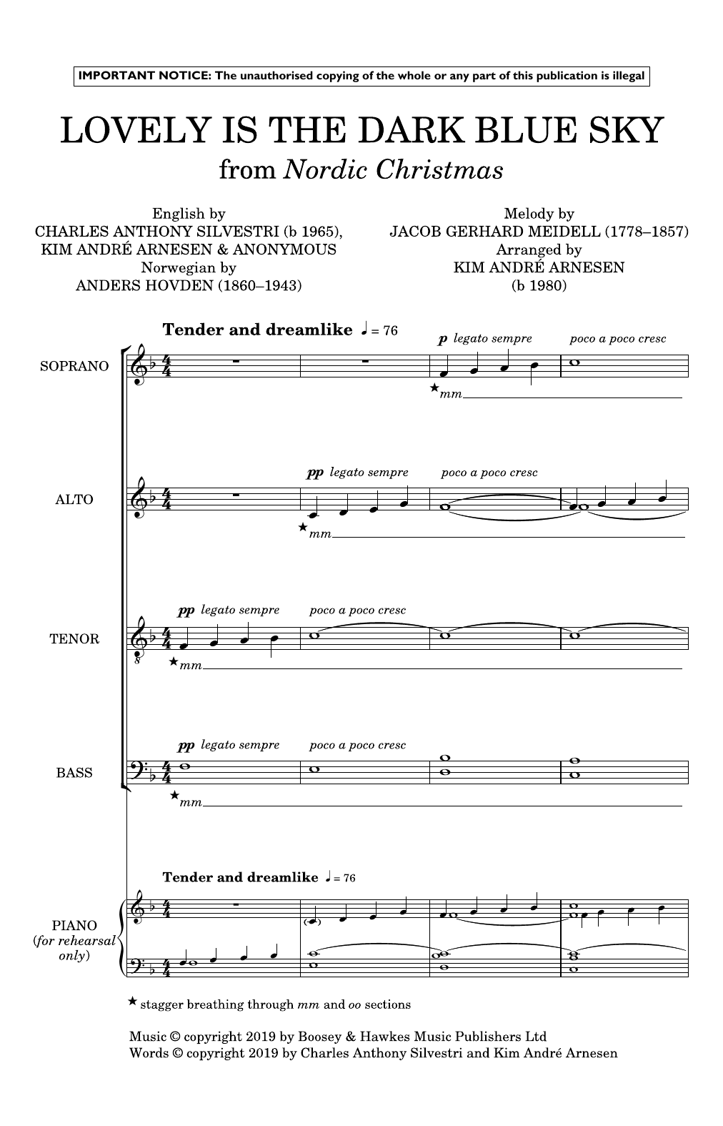 Download Kim André Arnesen Lovely Is The Dark Blue Sky (from Nordic Christmas) Sheet Music and learn how to play Choir PDF digital score in minutes