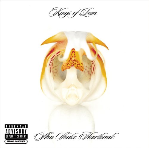 Kings Of Leon album picture