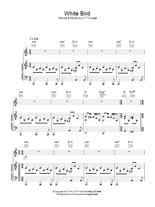 Download KT Tunstall White Bird Sheet Music and learn how to play Piano, Vocal & Guitar PDF digital score in minutes