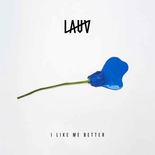 Lauv album picture