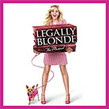 Download or print Legally Blonde The Musical Serious Sheet Music Printable PDF -page score for Broadway / arranged Piano, Vocal & Guitar (Right-Hand Melody) SKU: 71155.