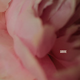 Download or print Lewis Capaldi Survive Sheet Music Printable PDF -page score for Pop / arranged Super Easy Piano SKU: 1792796.