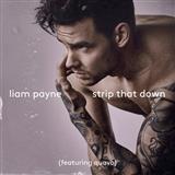 Download or print Liam Payne Strip That Down (feat. Quavo) Sheet Music Printable PDF -page score for R & B / arranged Piano, Vocal & Guitar (Right-Hand Melody) SKU: 124464.