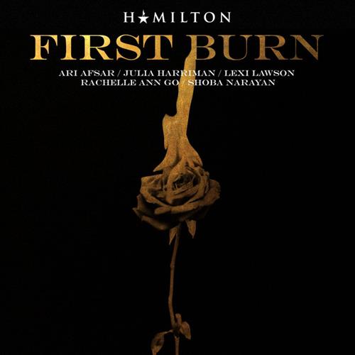 Lin-Manuel Miranda album picture