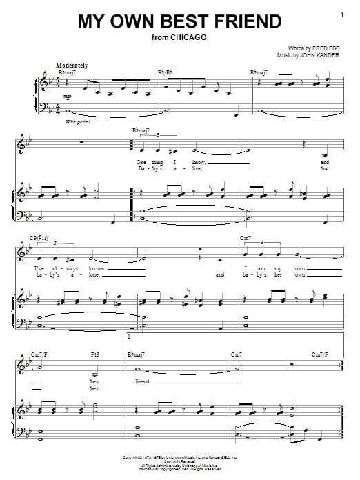 Download Liza Minnelli My Own Best Friend Sheet Music and learn how to play Piano & Vocal PDF digital score in minutes