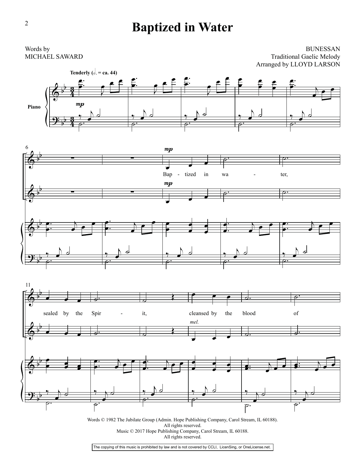 Download Lloyd Larson Today's Hymns & Songs For Two Voices, Vol. II Sheet Music and learn how to play Vocal Duet PDF digital score in minutes