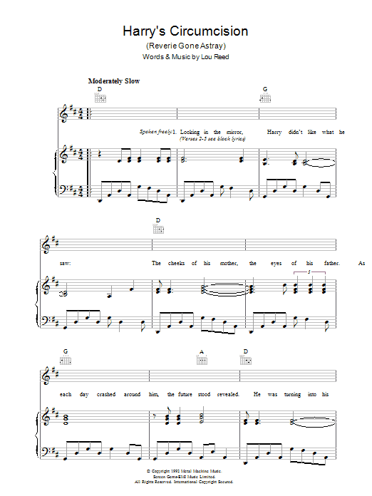 Download Lou Reed Harry's Circumcision Sheet Music and learn how to play Piano, Vocal & Guitar PDF digital score in minutes