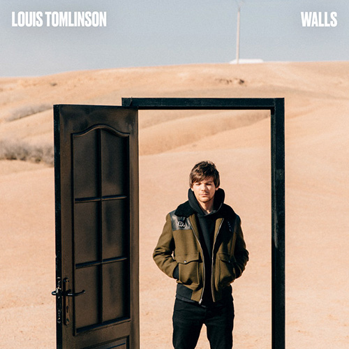 Louis Tomlinson album picture