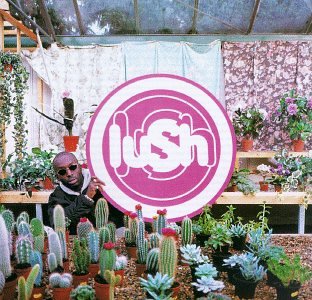 Lush album picture