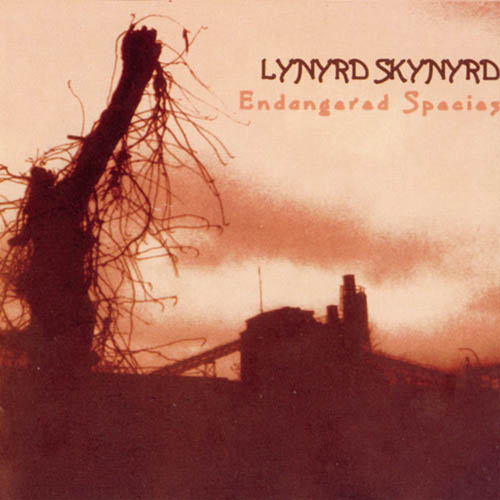 Lynyrd Skynyrd album picture