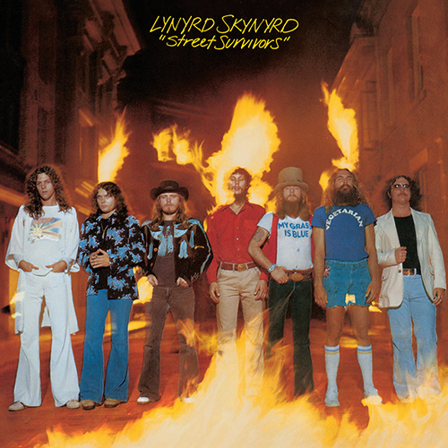 Lynyrd Skynyrd album picture