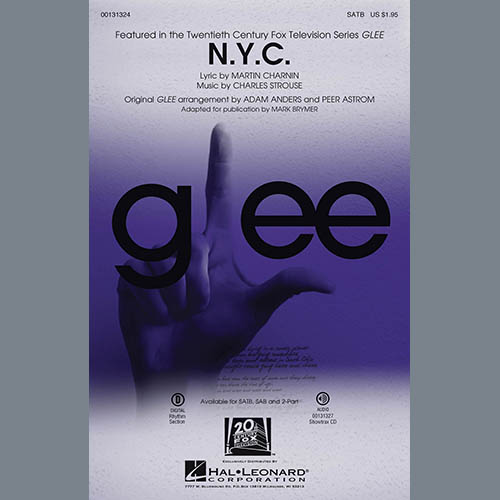 Glee Cast album picture