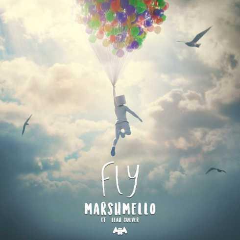 Marshmello album picture