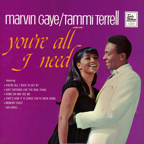 Marvin Gaye & Tammi Terrell album picture