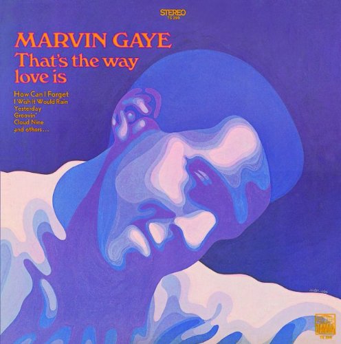 Marvin Gaye album picture