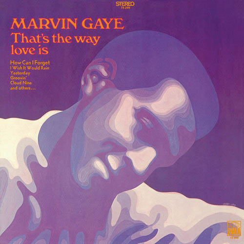 Marvin Gaye album picture