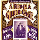 Download or print Maurice J. Gunsky A Bird In A Gilded Cage Sheet Music Printable PDF -page score for Classics / arranged Piano, Vocal & Guitar (Right-Hand Melody) SKU: 122787.