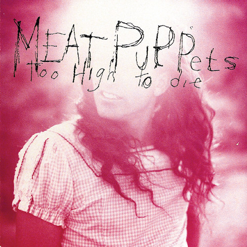 Meat Puppets album picture
