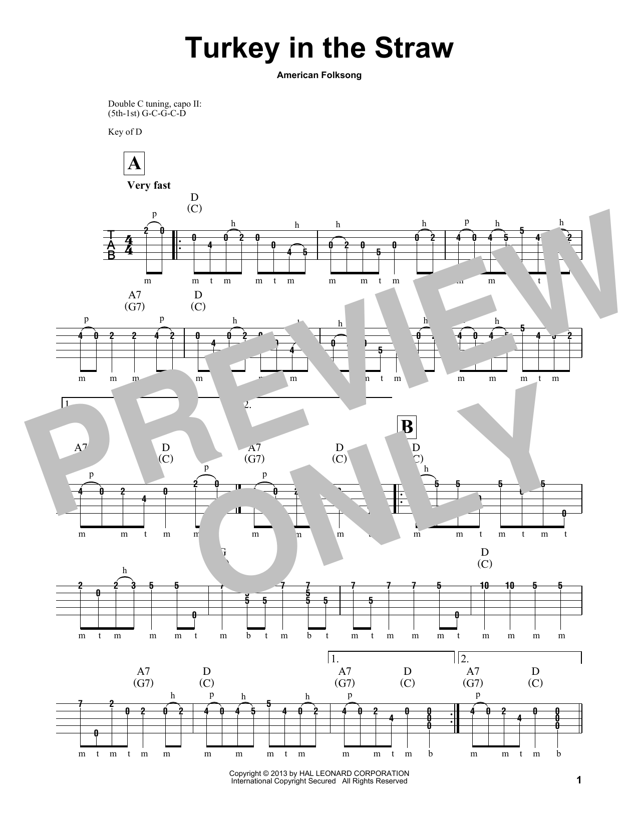 Download Michael Miles Turkey In The Straw Sheet Music and learn how to play Banjo PDF digital score in minutes