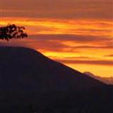 Download or print Mike Springer Autumn Sunset Sheet Music Printable PDF -page score for Pop / arranged Easy Piano SKU: 26470.