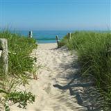 Download or print Mike Springer Seaside Stride Sheet Music Printable PDF -page score for Children / arranged Easy Piano SKU: 65198.