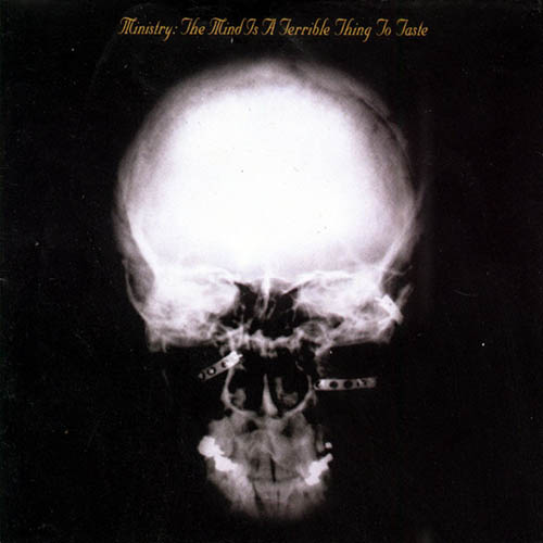 Ministry album picture