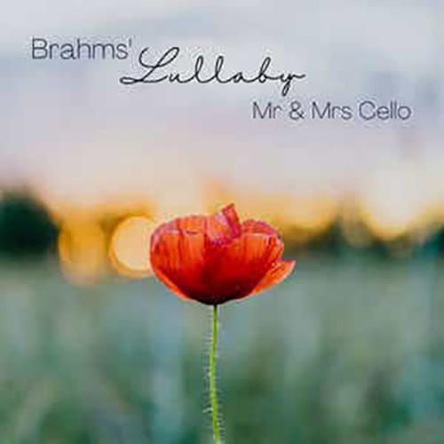 Mr & Mrs Cello album picture