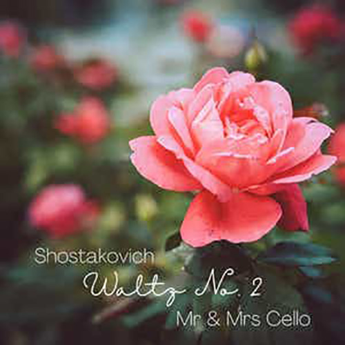 Mr & Mrs Cello album picture