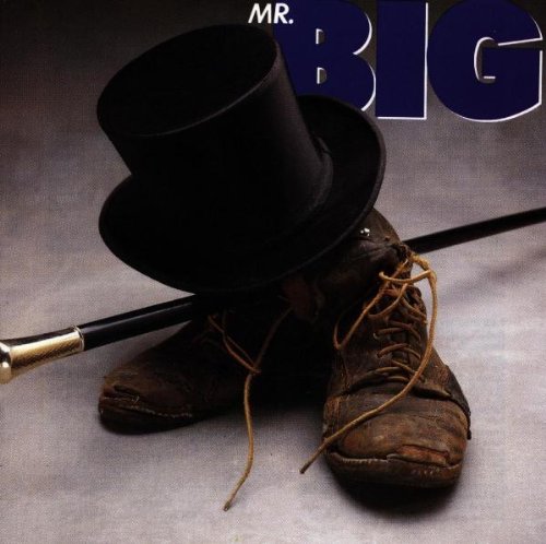Mr. Big album picture