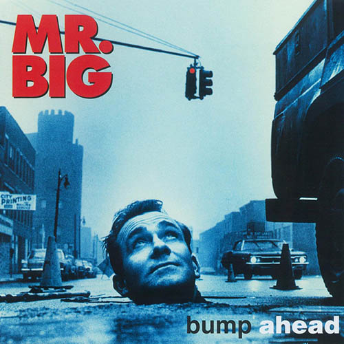 Mr. Big album picture