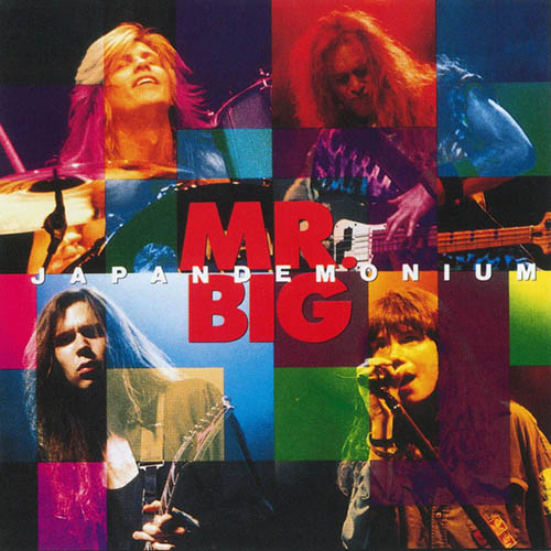 Mr. Big album picture