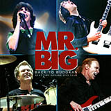 Download or print Mr. Big Stay Together Sheet Music Printable PDF -page score for Rock / arranged Guitar Tab SKU: 175659.