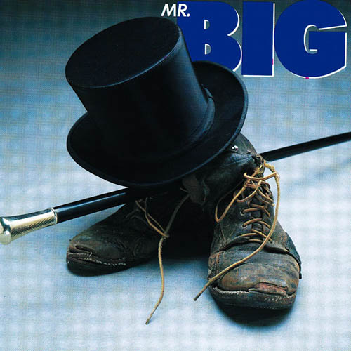 Mr. Big album picture