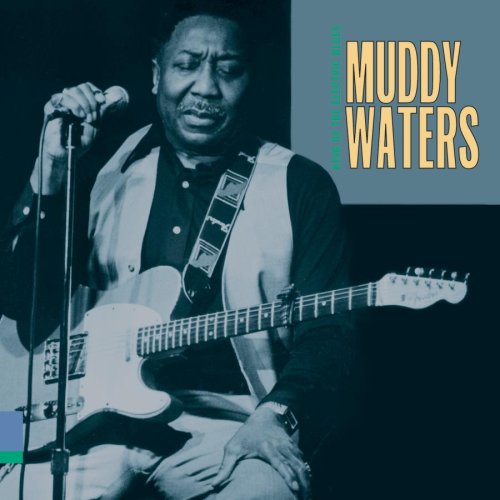 Muddy Waters album picture